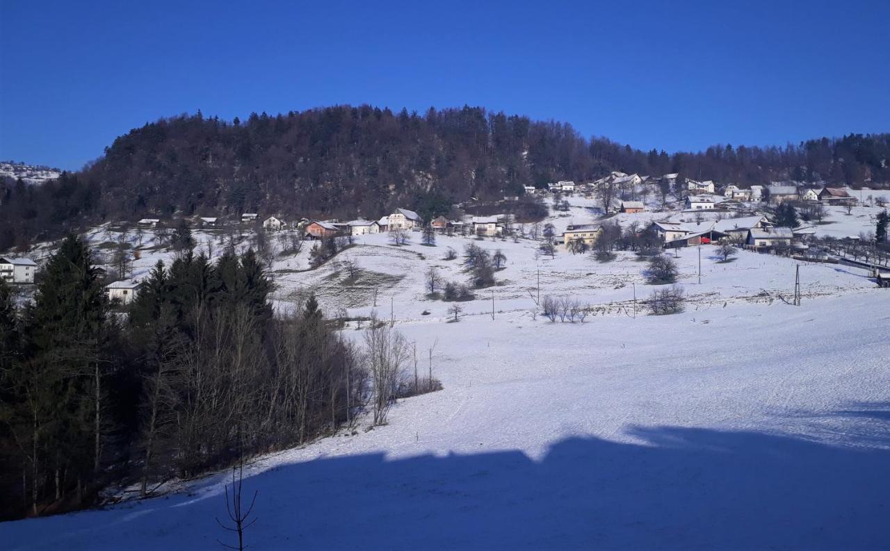 B&B Černe Polhov Gradec Exterior foto