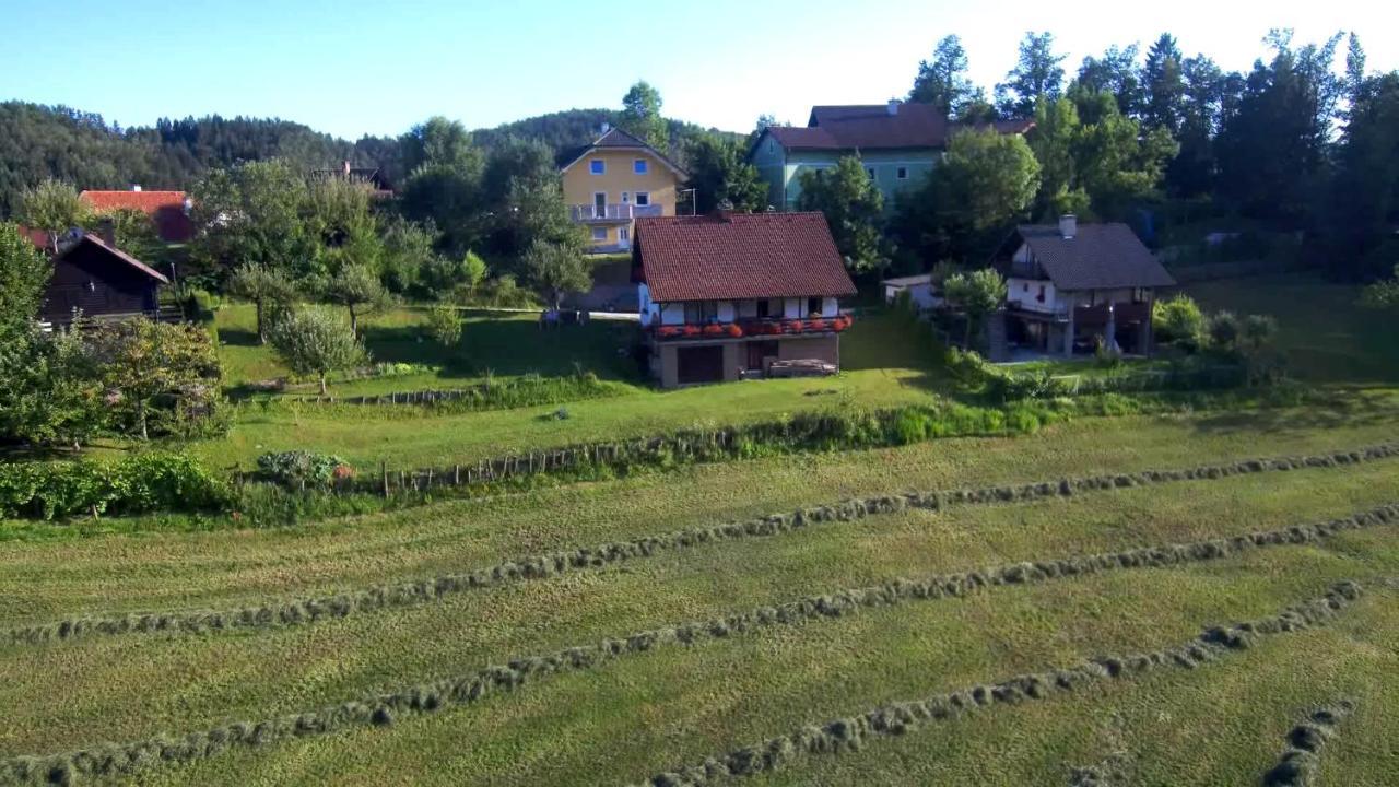 B&B Černe Polhov Gradec Exterior foto
